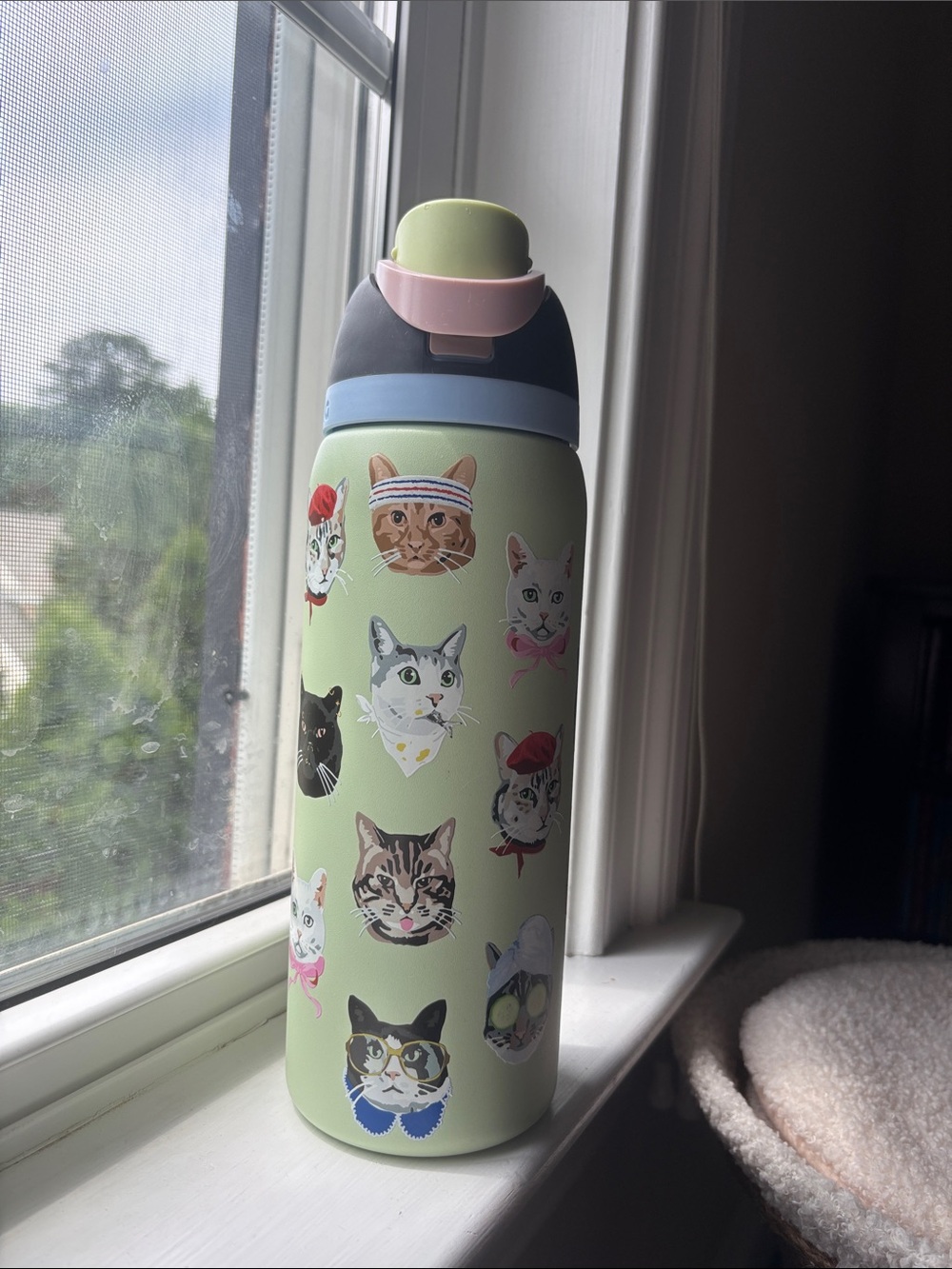 Owala Cat Print Stainless Water Bottle - Pastel Green - Picture 3 of 7